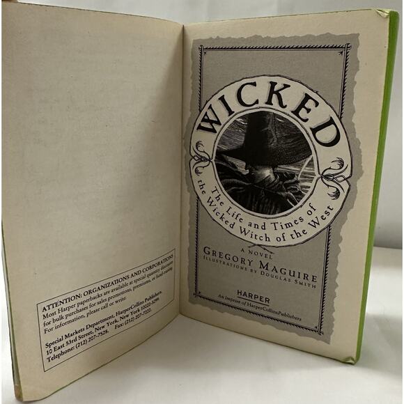 2007 PB Wicked Gregory Maguire Wicked Witch of the West OZ Sprayed Green edges - Picture 7 of 8